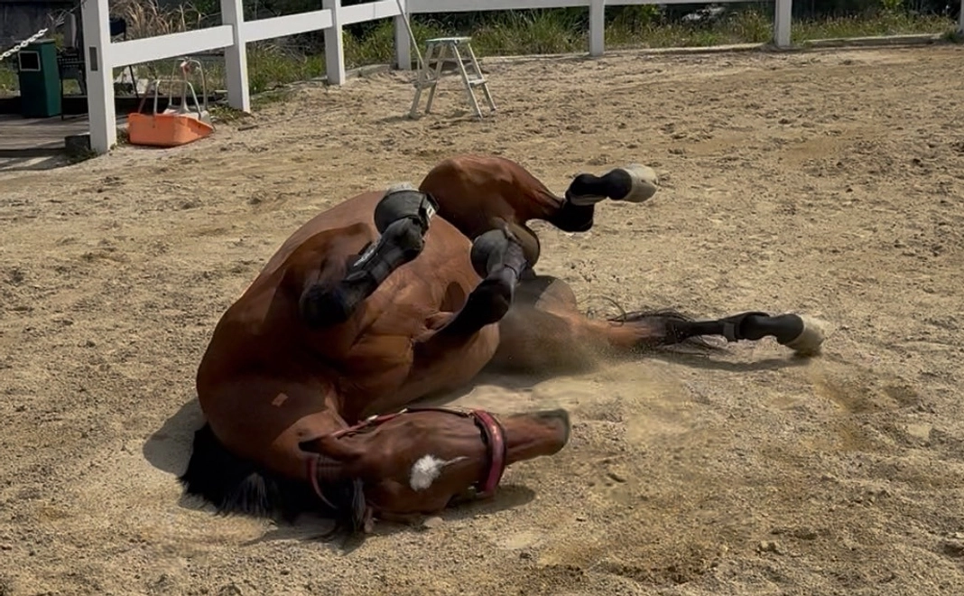 リトレースサポーター【3000円コース】
