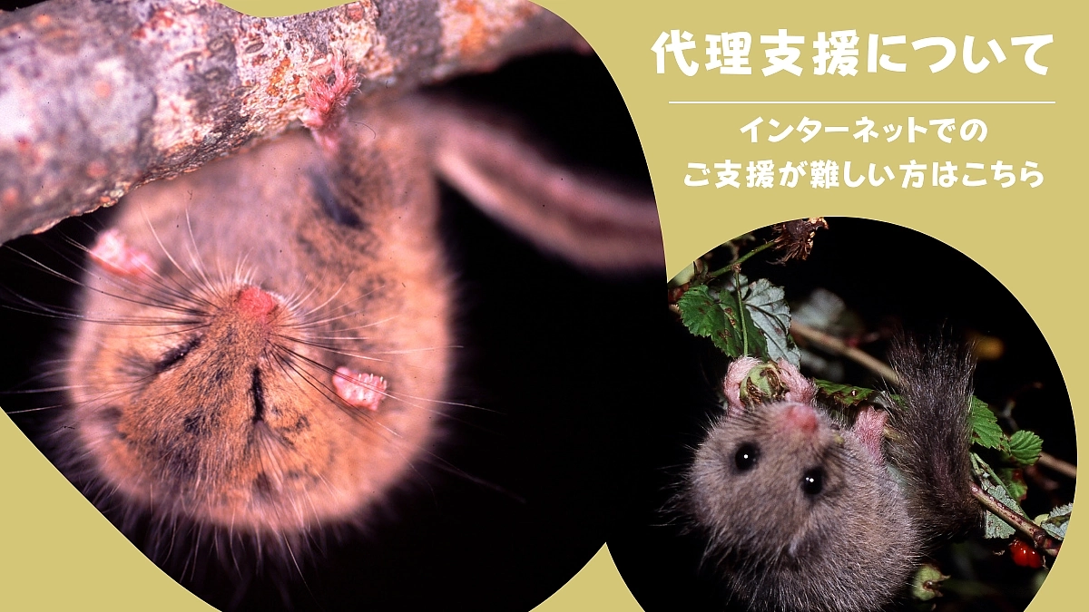 代理支援について 〜インターネットでのご支援が難しい方へ〜