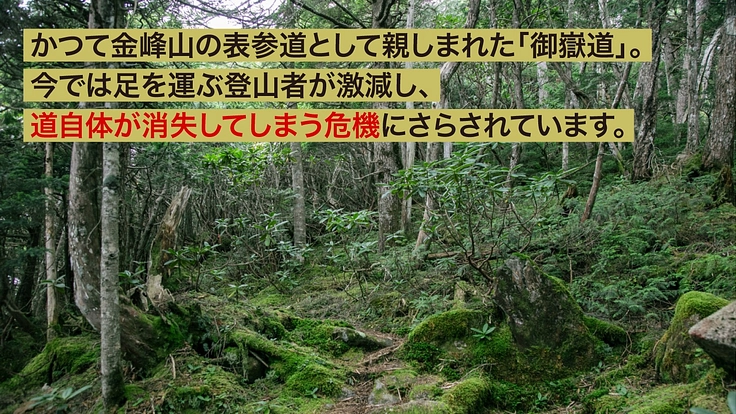 日本百名山・金峰山の「忘れられつつある登山道」を復活させる！ 2枚目
