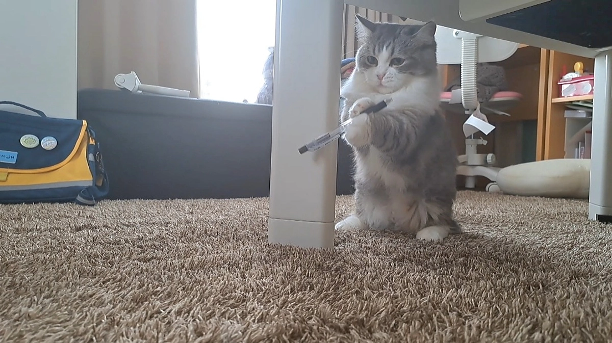 定期検診にいってきました