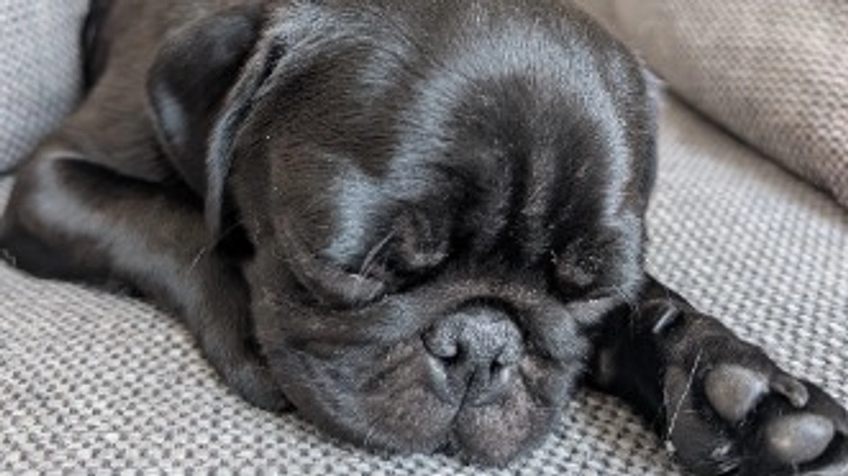 ユッケのインスタライブしました✨