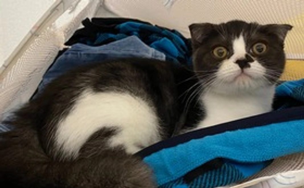 支援２　御礼のメールと写真2枚