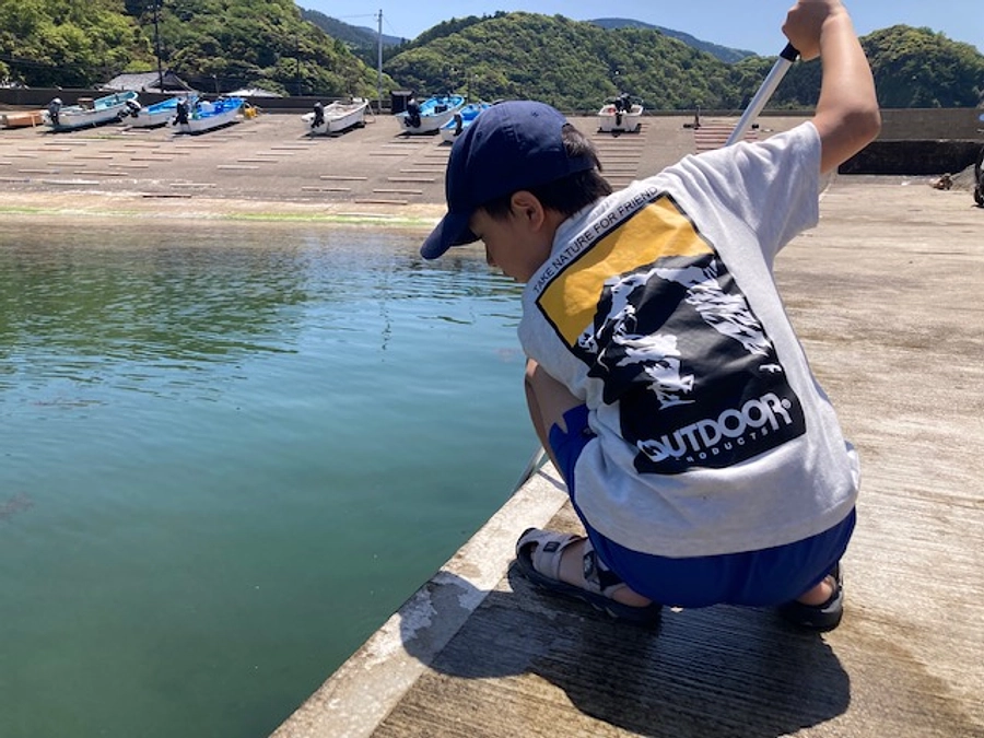 【活動報告＠2024年5月】