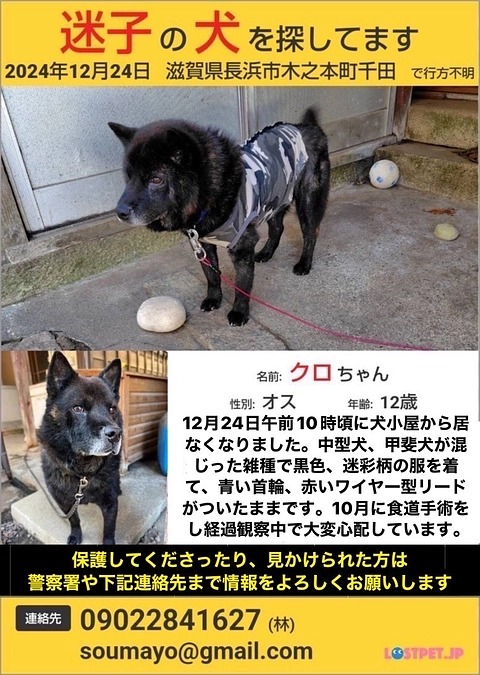 クロちゃんが12月24日にお家から逃げ出してしまいました