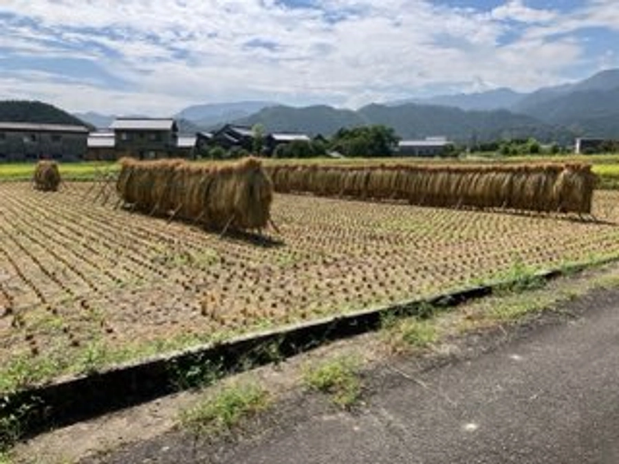 はぜかけ🌾おわりました