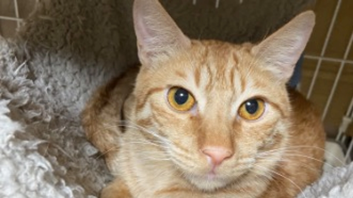 公開初日より、沢山のご支援いただき有難うございます。