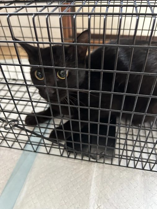 まだまだ未確認の子達がいます