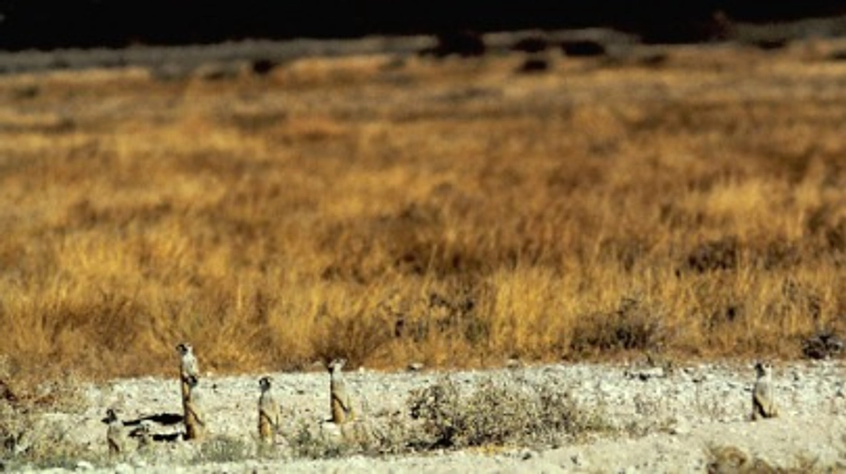 デジタル言語学セミナーフルコースのご紹介