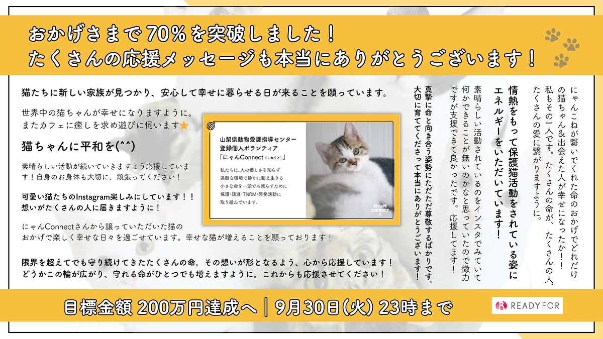 ＼いただいた応援コメントのご紹介／