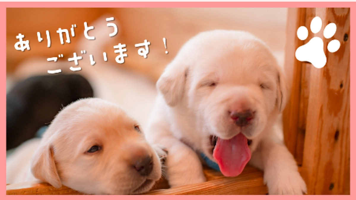 ネクストゴール１０００万円達成！