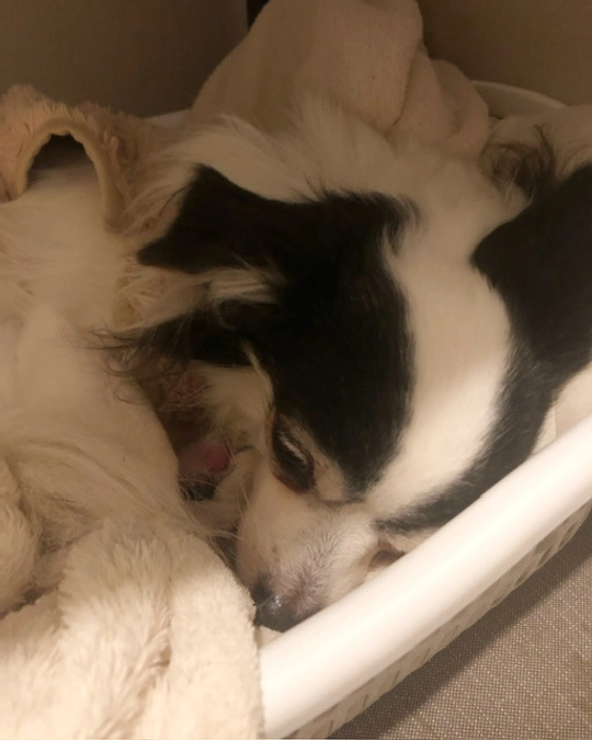 あと9日しかありません