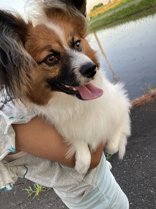 残り１日　まだ諦めません！！