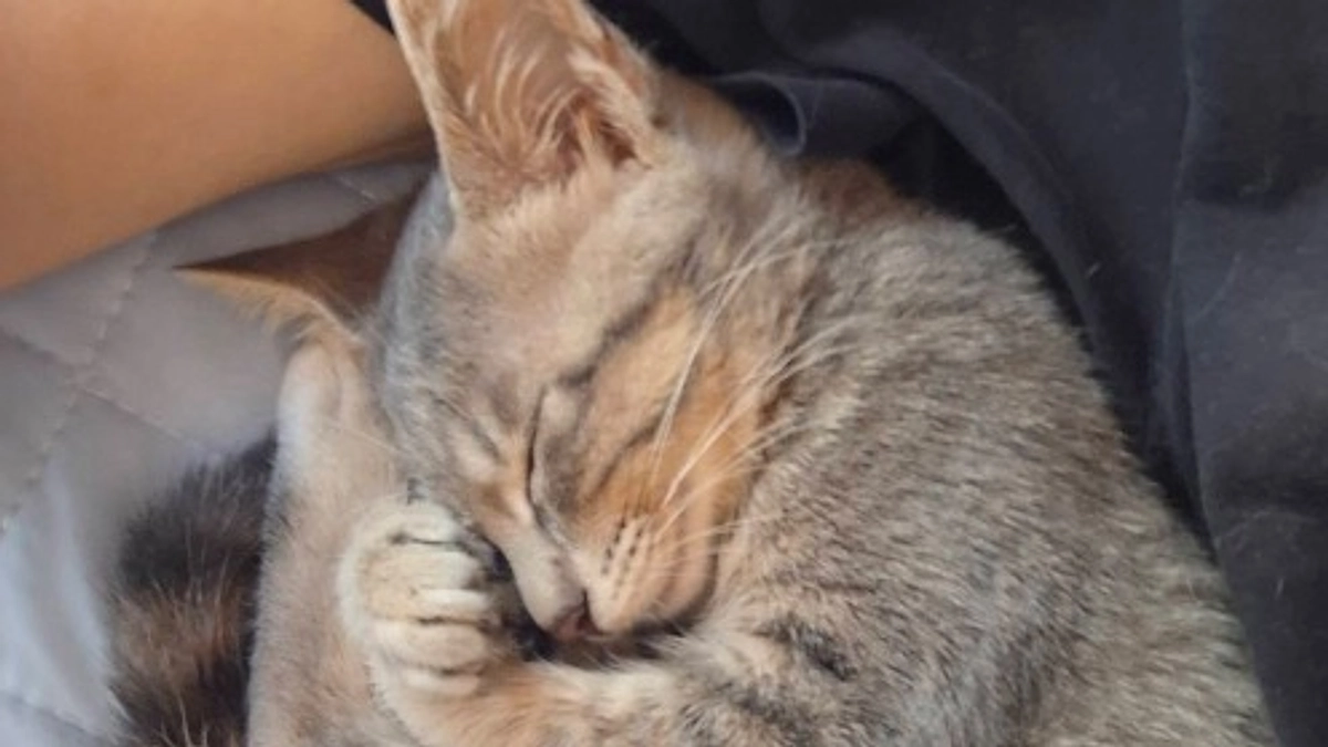 お盆いかがお過ごしでしたか？