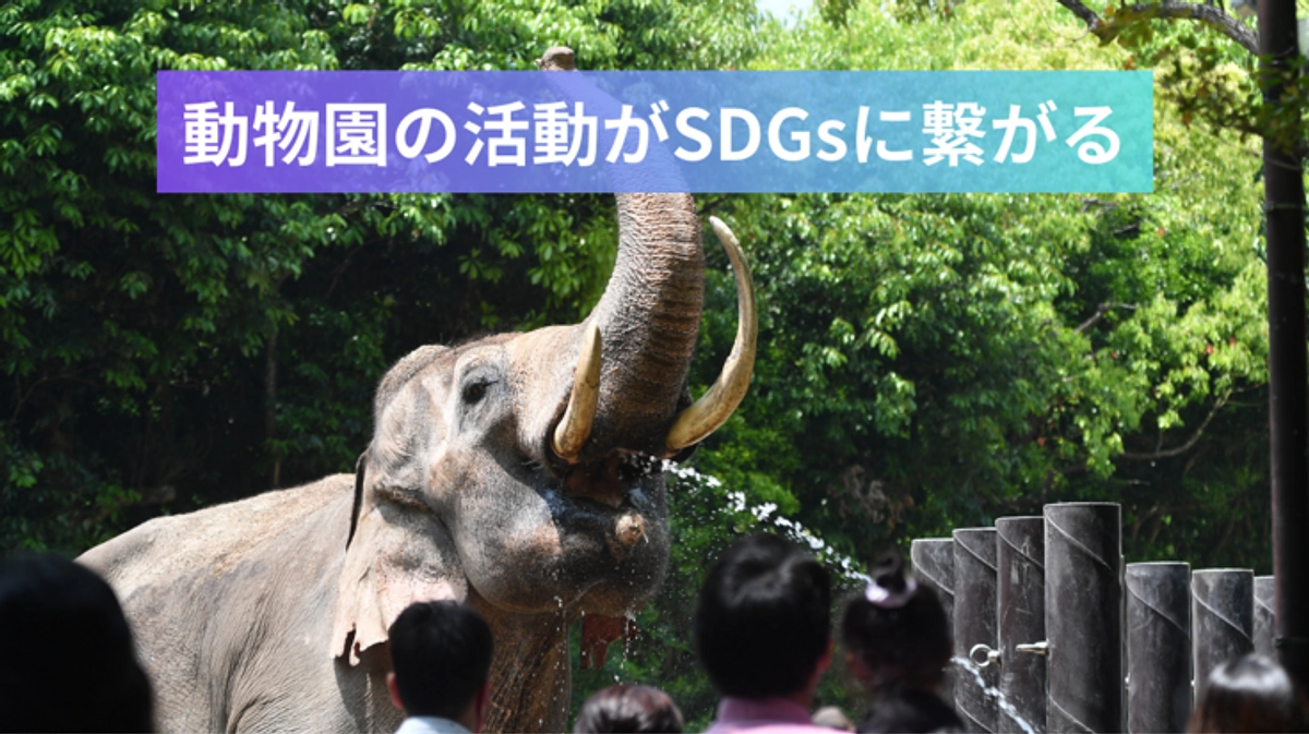 動物園の活動が、地球環境保全、そしてSDGsの取り組みへ繋がる。