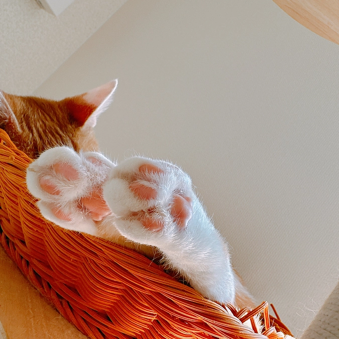 達成率40%到達のご報告です！