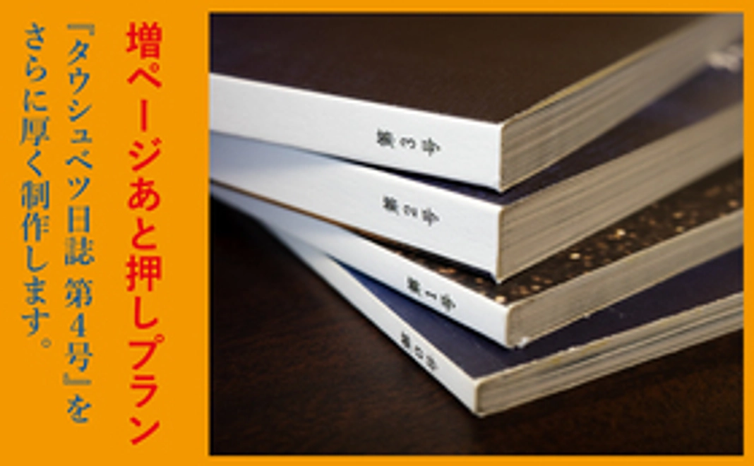 増ページあと押しプラン