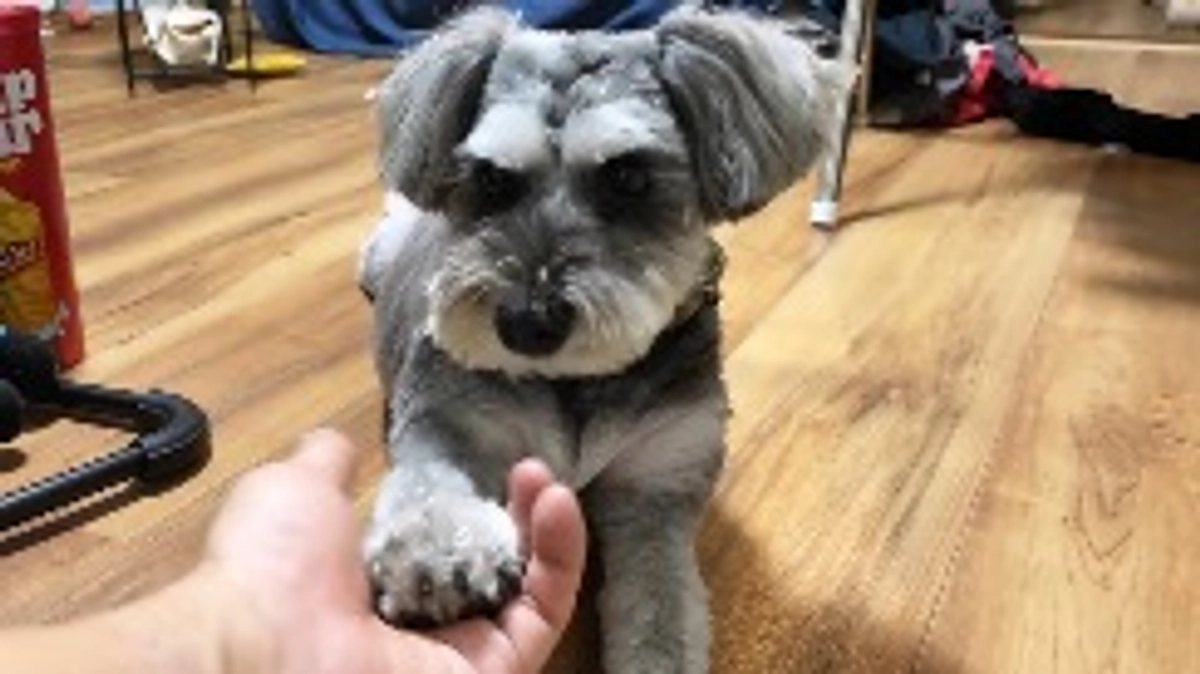 2回目術前検査の結果😭