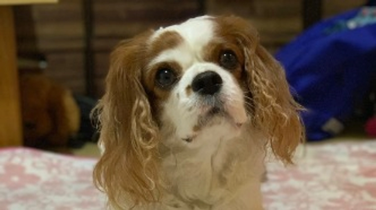 達成率が81％となりました‼️