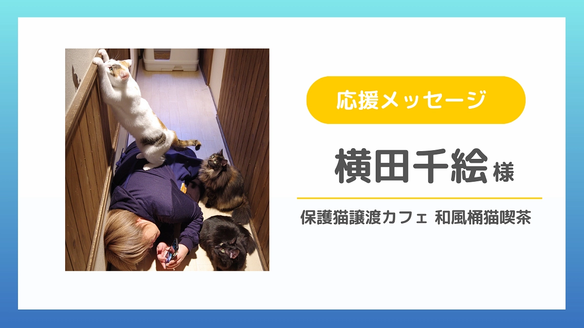 【応援メッセージのご紹介】横田千絵様（保護猫譲渡カフェ 和風桶猫喫茶）