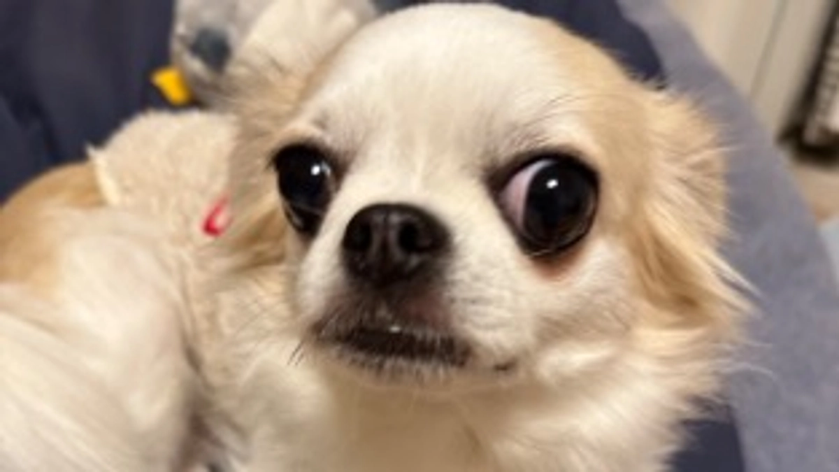 時間がありません