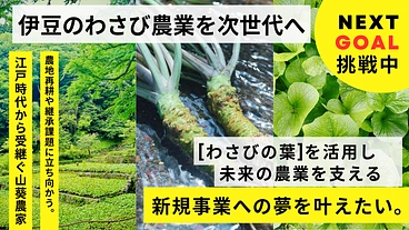 【伊豆わさびプロジェクト】わさび葉の活用で伝統農業を守りたい！ のトップ画像
