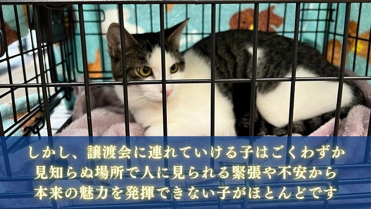 生まれた命を輝かせたい。愛してくれる家族へ繋ぐ拠点の開設を目指して 4枚目