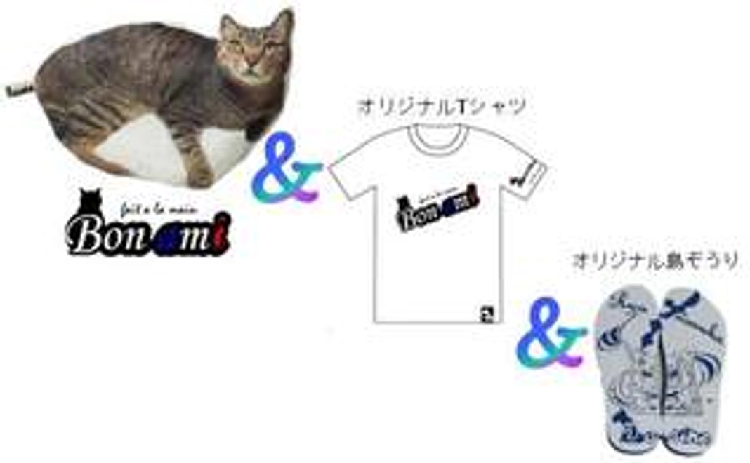 【Bon ami(ボナミ)－愛猫型枕ー】オリジナルTシャツ&島ぞうりセット