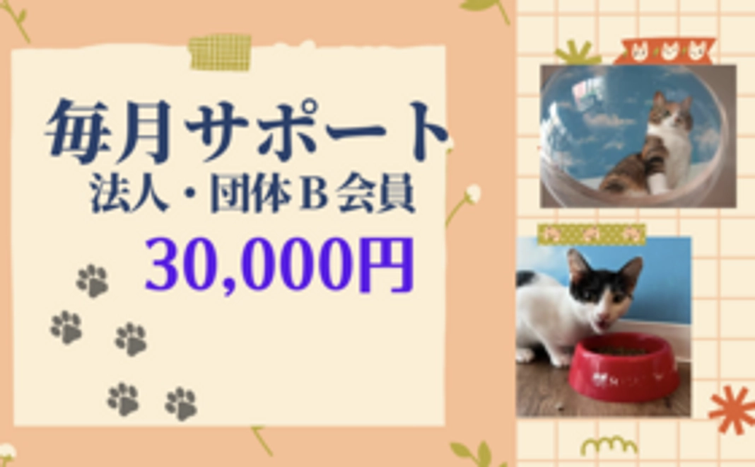 法人・団体 Bコース （個人希望もOK)