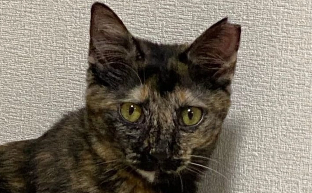 皆様の応援が集まり大きな力となります