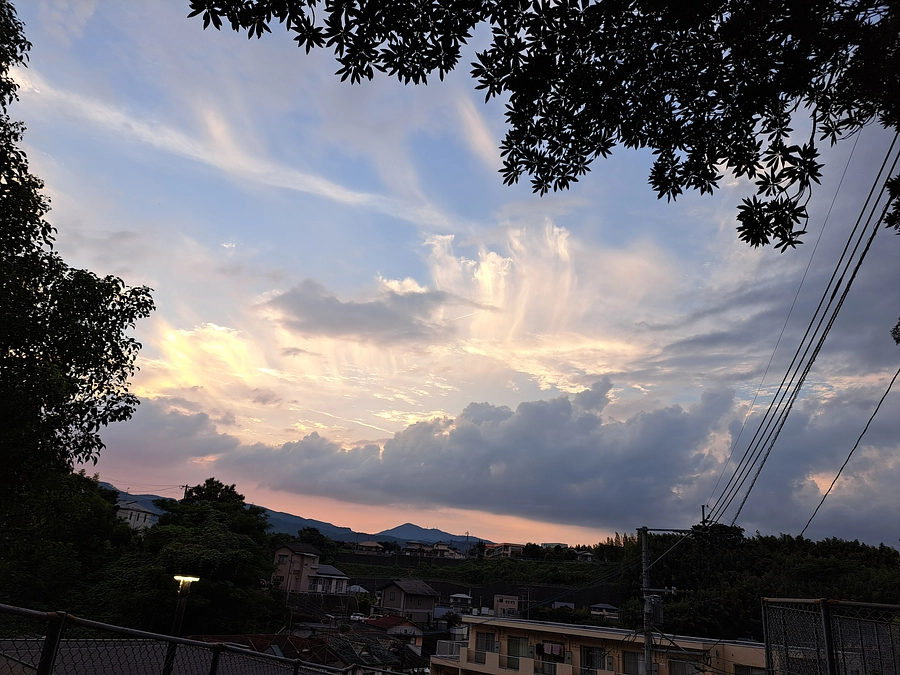 これまでの活動を通しての考察