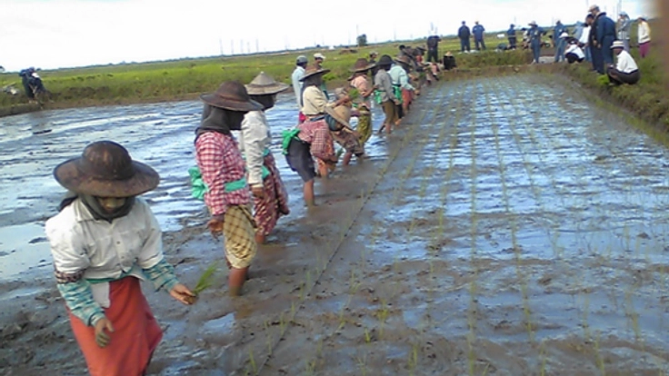 有機液化肥料でミャンマーの人々の暮らしを豊かにしたい！！