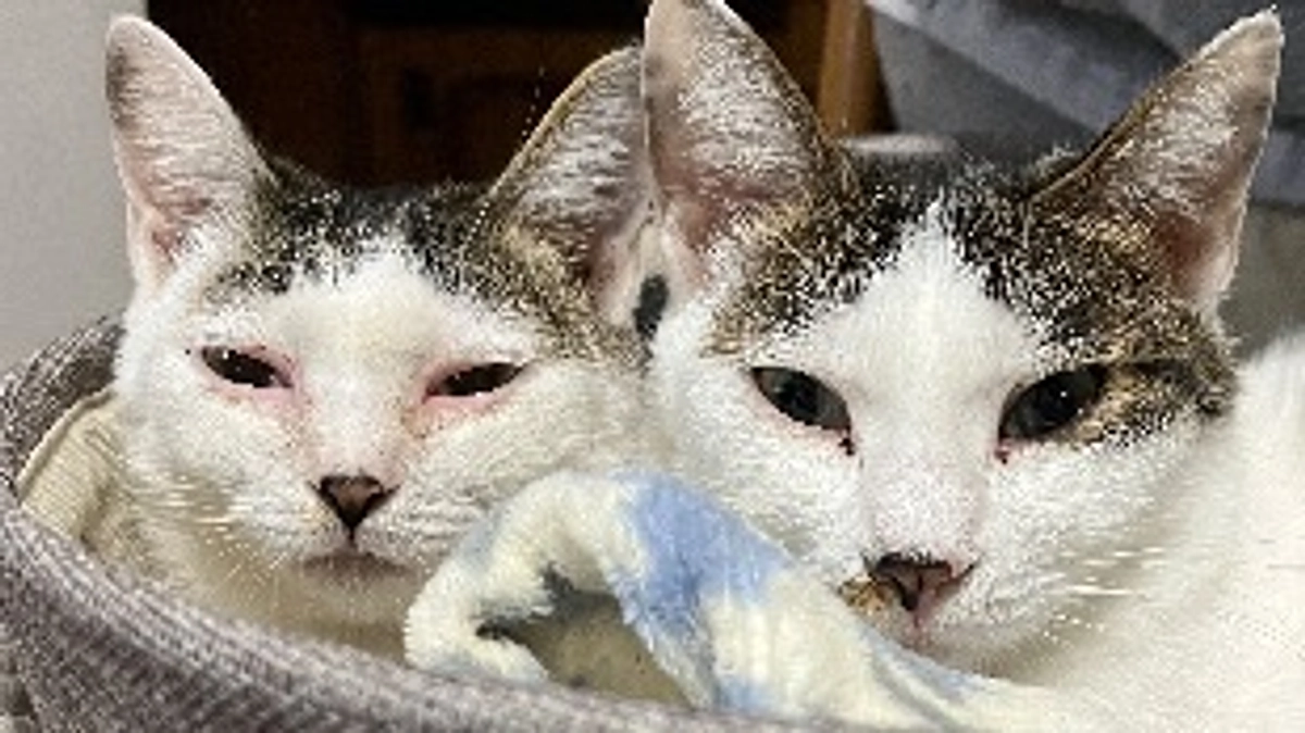 こはる病院へ。