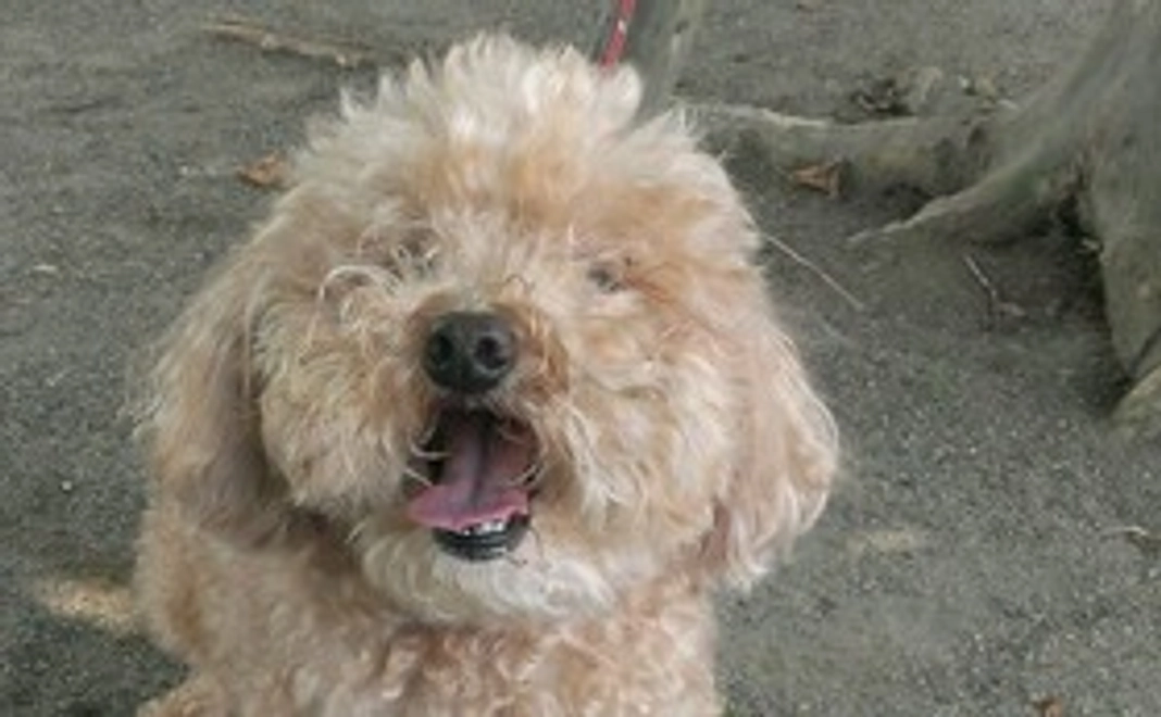 クウへの応援１（本当にありがとうございます。）