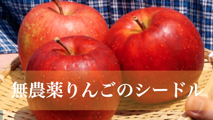 第二弾！農薬不使用のりんごを使った、シードルを作りたい！