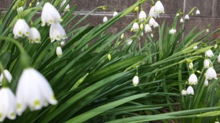 子どもの「育ちづらさがあっても」を応援したい!