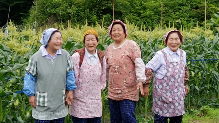 50年の歴史を映像に!根羽村おばあちゃんの「トウモロコシ物語」