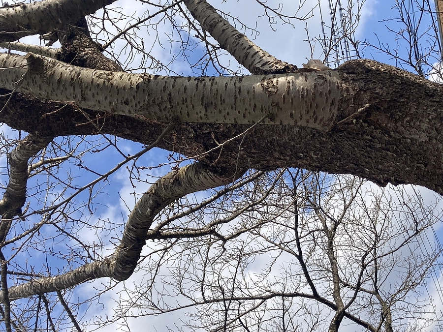 【近況報告】2月14日 当たり前が当たり前ではなかったこと