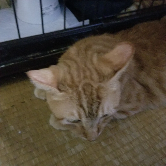 90%達成できました。