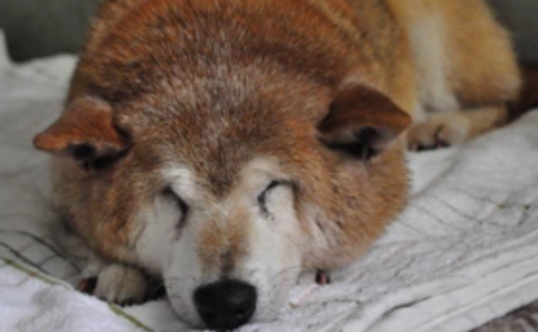 5,000円｜まごころコース