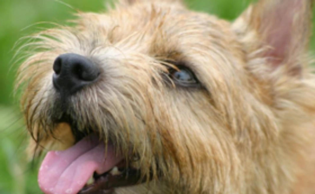 『君とずっと一緒にいたいから』絵本1冊+温泉宅配