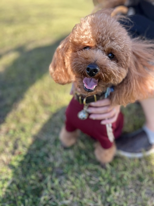 そこにいてくれるだけで