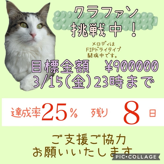 残り8日💦