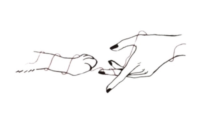 保護猫活動【誰でも遊びに来れる！ねこの『て』ハウス】