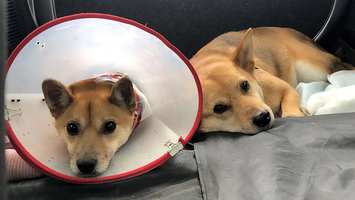 【あと2時間】最後のごあいさつとお願い