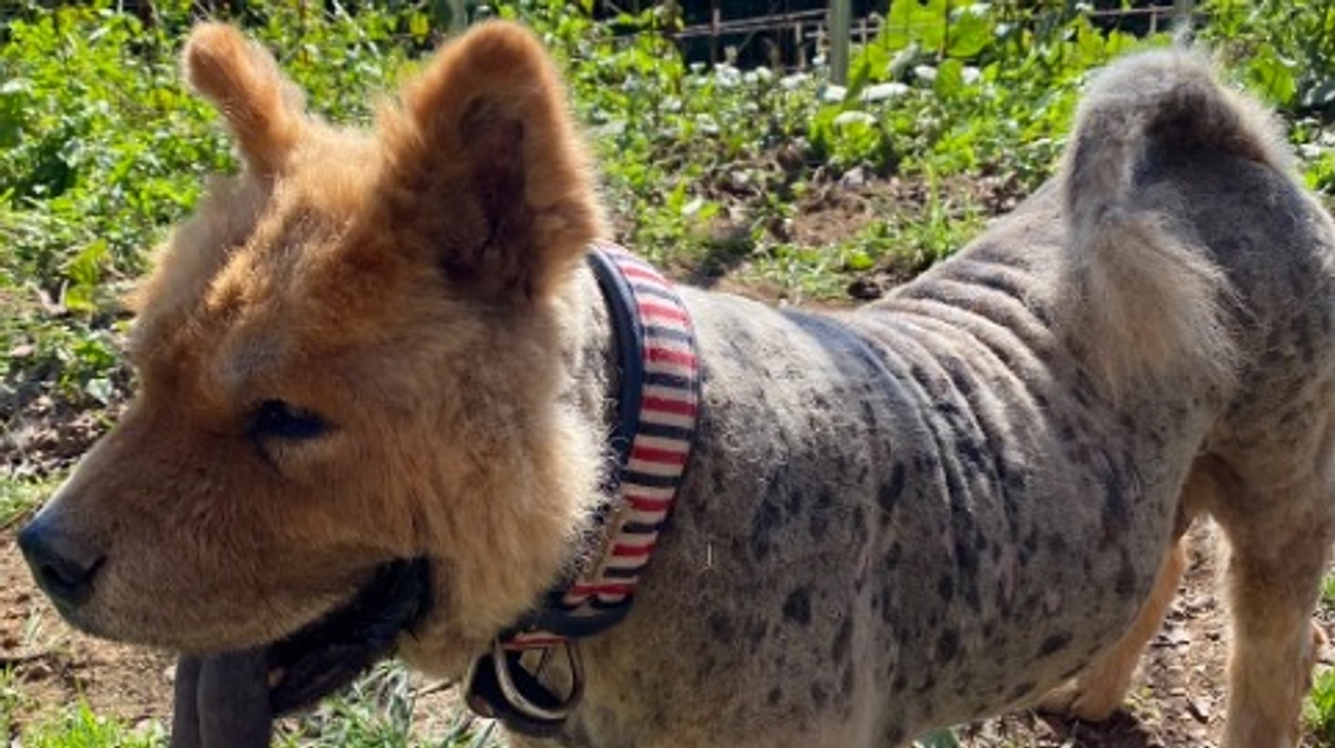 着工予定日が決まりました！