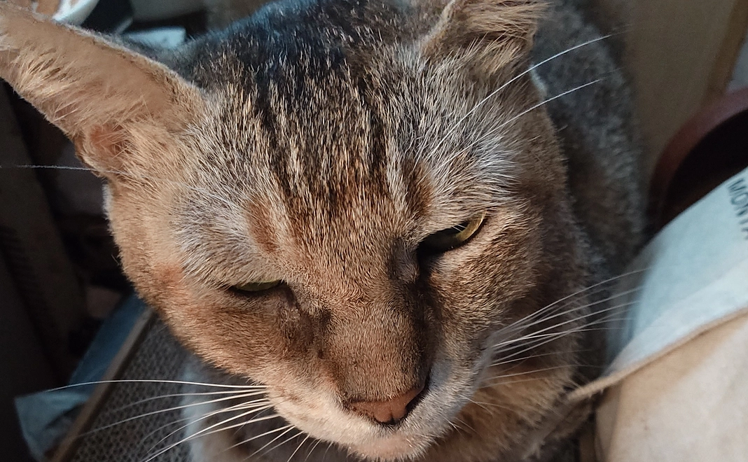 感謝の言葉をメールにて