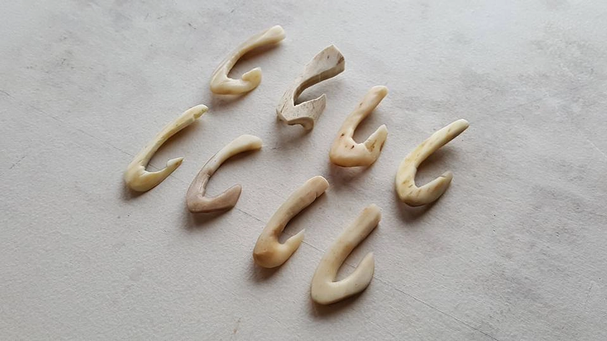 My first encounter with Japanese deer horn 