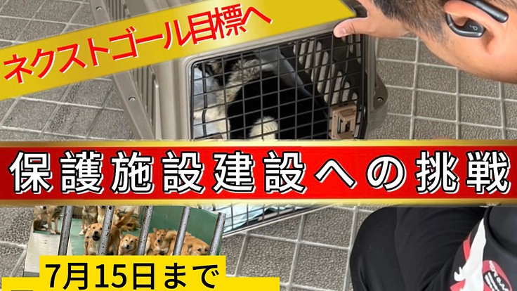 第二回!保護犬活動も応援できる”命をつなぐ”平飼い養鶏場の規模拡大