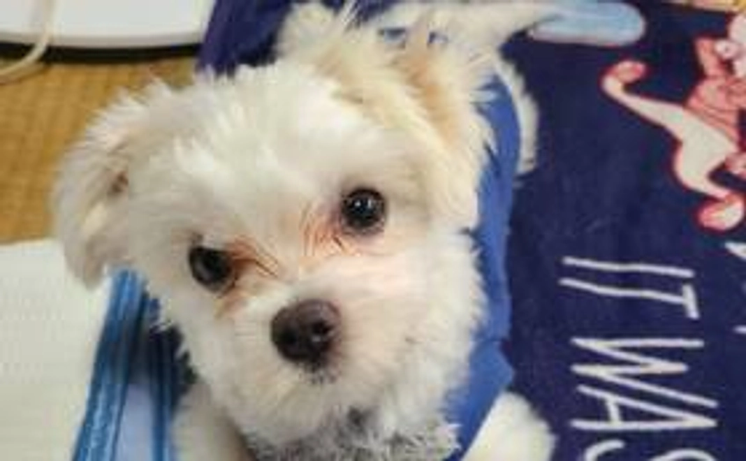 そらのご支援　500円