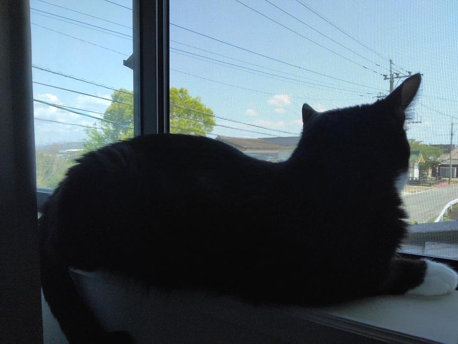 4/18はなちゃんの様子(発作あり)